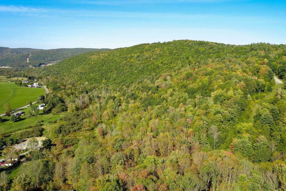 Prime Pennsylvania Bluestone Quarry Portfolio: 117 Jefferson St, Susquehanna County, PA 18847